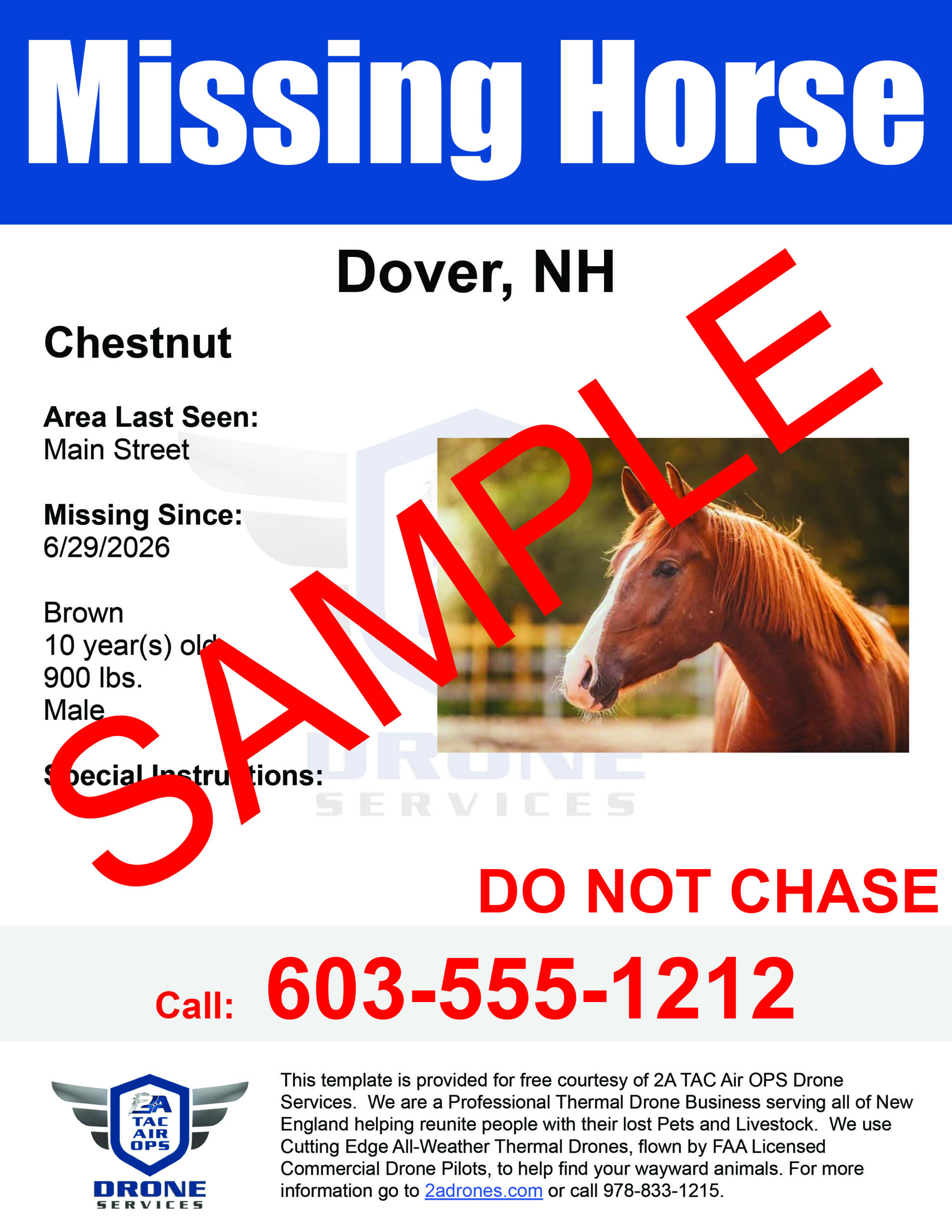Missing Horse
