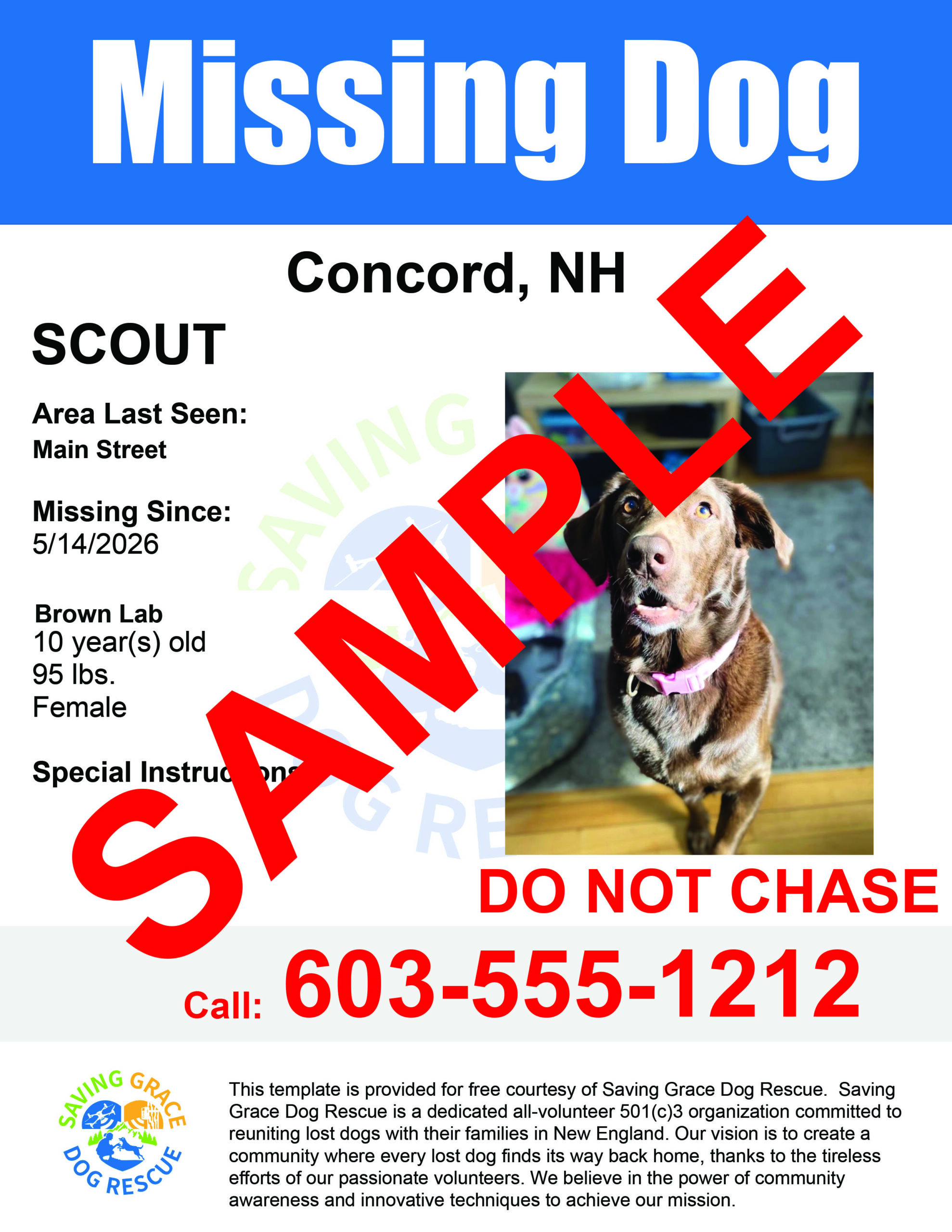 Missing Dog Flyer
